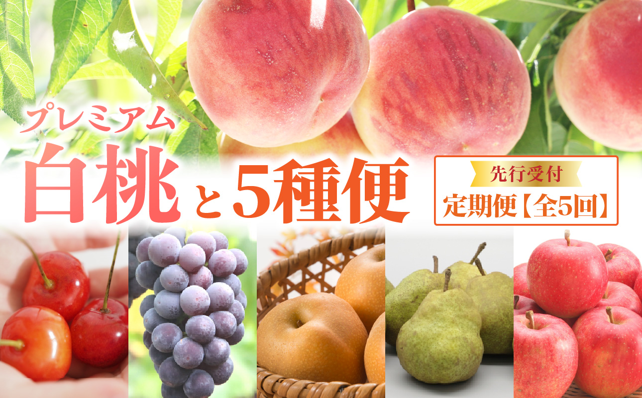 《先行受付》プレミアム白桃と5種便【定期便全5回】