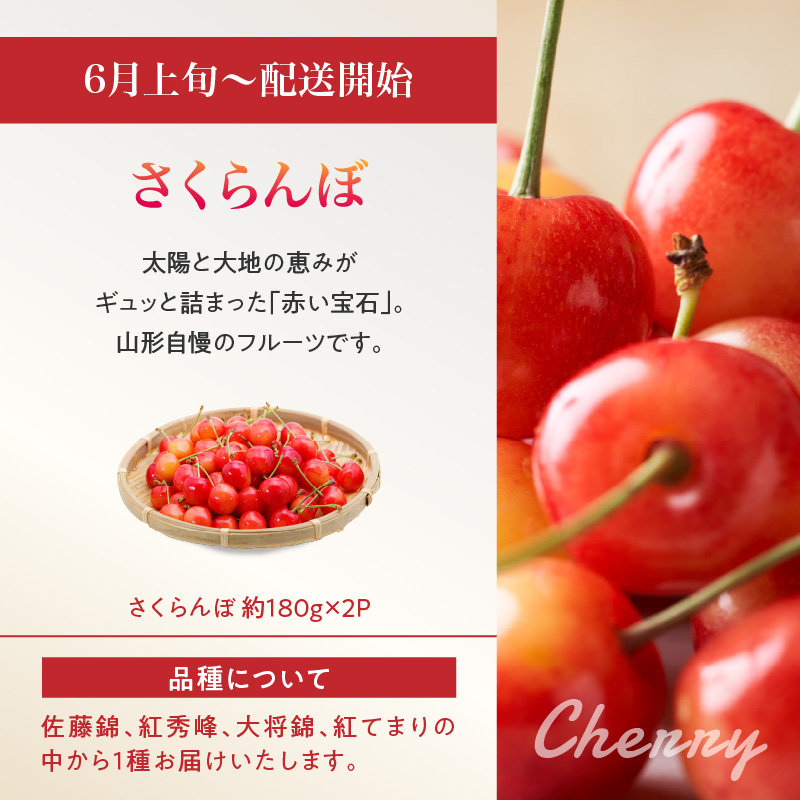 ãå
è¡åä»ããã¬ãã¢ã çœæ¡ãš5皮䟿ãå®æäŸ¿å
š5åã