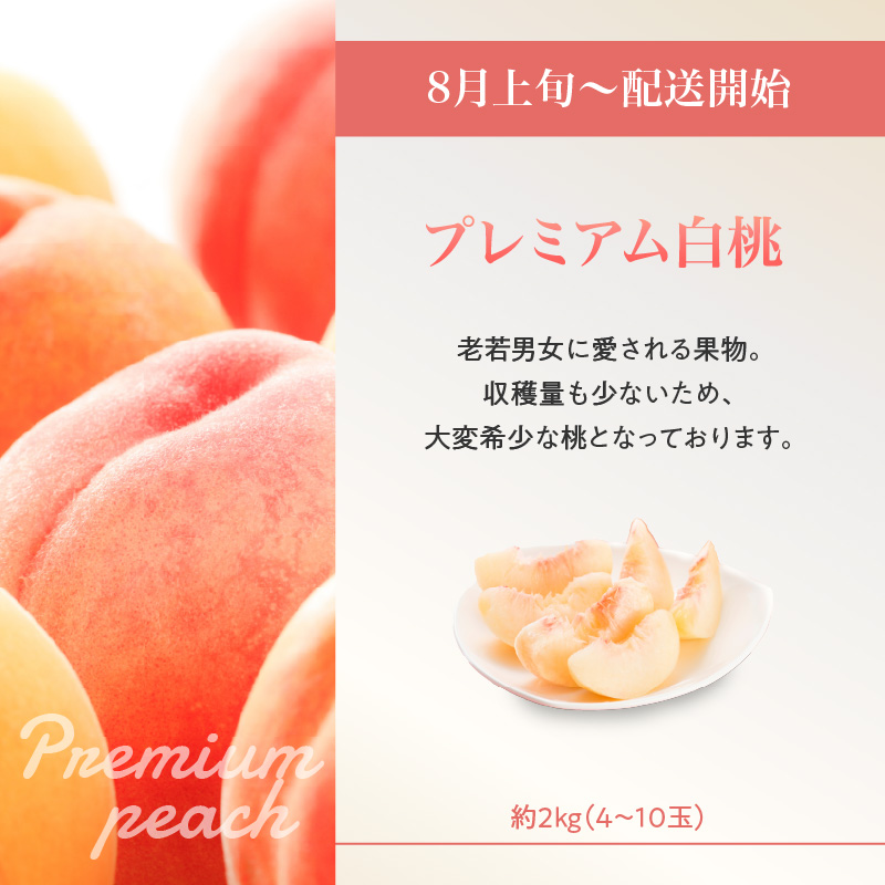 ãå
è¡åä»ããã¬ãã¢ã çœæ¡ãš5皮䟿ãå®æäŸ¿å
š5åã