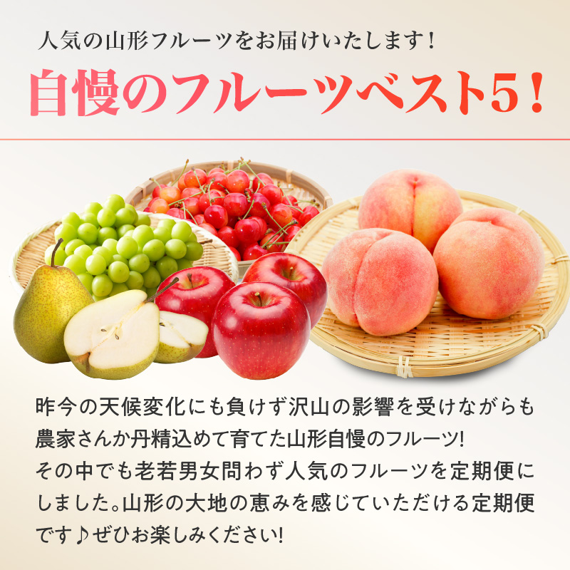 060-T13ãå
è¡åä»ã山圢ãã«ãŒã人æ°ãã¹ãïŒâ
ãå®æäŸ¿å
š5åã