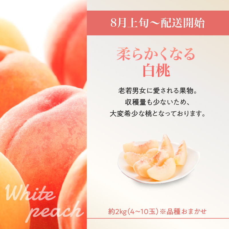 060-T13ãå
è¡åä»ã山圢ãã«ãŒã人æ°ãã¹ãïŒâ
ãå®æäŸ¿å
š5åã