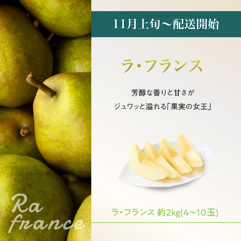 060-T13ãå
è¡åä»ã山圢ãã«ãŒã人æ°ãã¹ãïŒâ
ãå®æäŸ¿å
š5åã