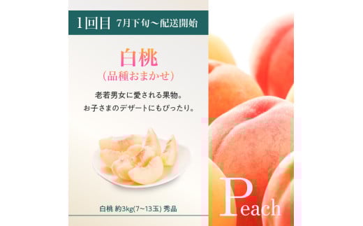 âªå
è¡åä»â« ã2026床幎çºéã山圢è±äœãã«ãŒã人æ°ïŒ¡ãå®æäŸ¿å
š3åã