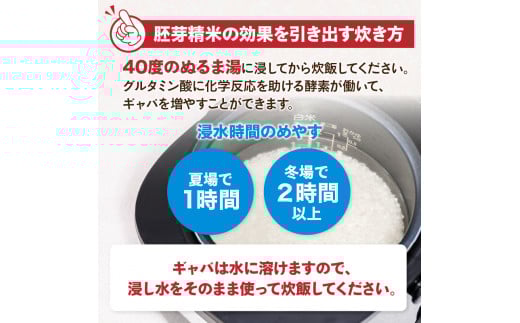 山形県産 無洗米 令和7年産 はえぬき 胚芽精米 10kg(2kg×5袋)【山形県産 BG精米製法】