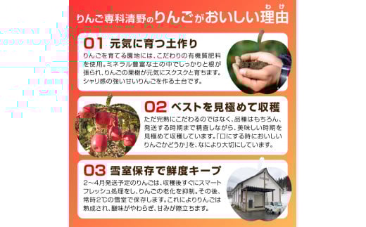 《先行受付》贈答規格 早生ふじ約5kg（特秀〜秀14〜20玉）【2026年9月中旬頃〜発送予定】【大江町産・山形りんご・りんご専科 清野】