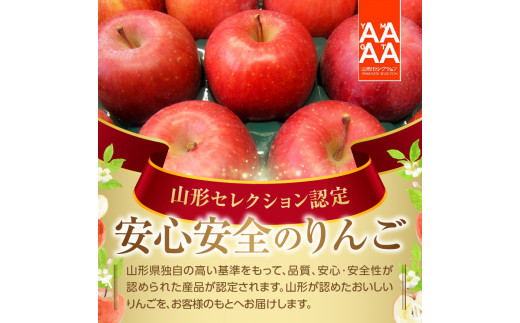 《先行受付》特別栽培 贈答規格サンふじ約5kg 【2026年12月中旬頃〜発送予定】