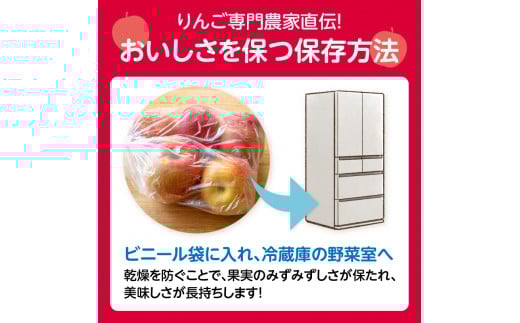 《先行受付》贈答規格 早生ふじ約5kg（特秀〜秀14〜20玉）【2026年9月中旬頃〜発送予定】【大江町産・山形りんご・りんご専科 清野】