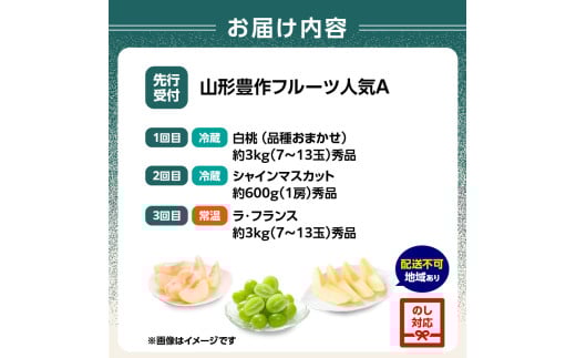 âªå
è¡åä»â« ã2026床幎çºéã山圢è±äœãã«ãŒã人æ°ïŒ¡ãå®æäŸ¿å
š3åã