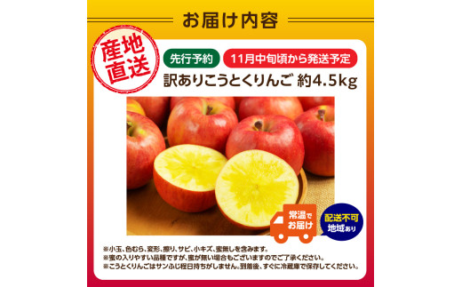  《先行受付》訳ありこうとくりんご約4.5kg 【2026年11月中旬頃～発送予定】【大江町産・山形りんご・大地農産・11月・12月】