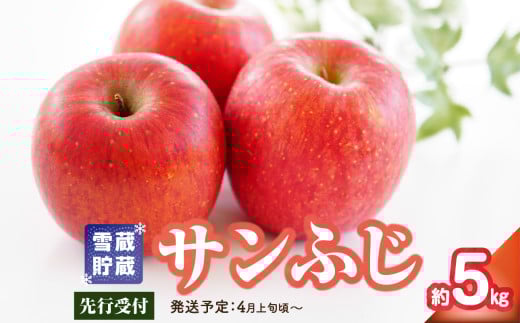 ãå
è¡åä»ãå®¶åºçš éªèµè²¯èµ ãµã³ãµã çŽ5kgã2026幎4æäžæ¬é ïœçºéäºå® å·èµãå±ããã倧æ±çºç£ã»å±±åœ¢ãããã»ãããå°ç§ æž
éã