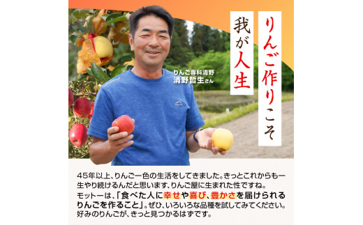 《先行受付》訳ありこうとく約4.5kg【2026年11月上旬〜発送予定】【大江町産・山形りんご・りんご専科 清野】