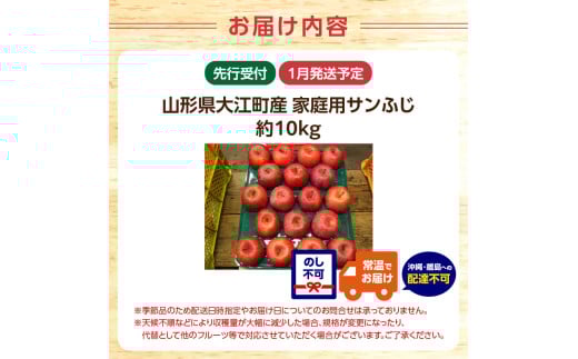 《先行受付》特別栽培 訳あり 家庭用サンふじ約10kg 【2027年1月〜発送予定】