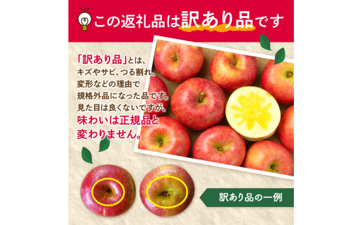 《先行受付》【2027年3月発送予定】 訳あり 雪室りんごサンふじ 約5kg【大江町産・山形りんご・大地農産】