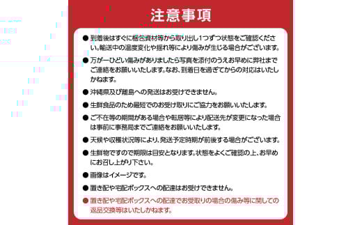 âªå
è¡åä»â« ã2026床幎çºéã山圢è±äœãã«ãŒã人æ°ïŒ¡ãå®æäŸ¿å
š3åã