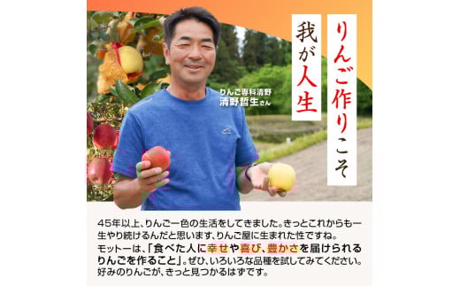 《先行受付》贈答規格 早生ふじ約5kg（特秀〜秀14〜20玉）【2026年9月中旬頃〜発送予定】【大江町産・山形りんご・りんご専科 清野】