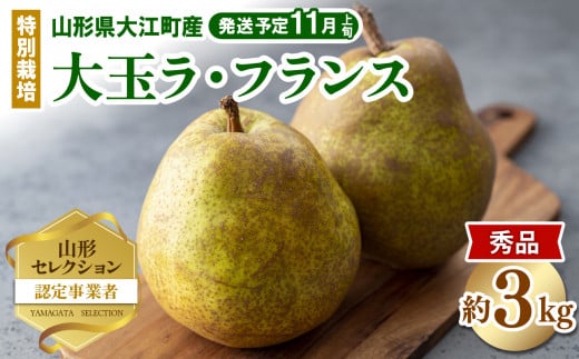 《先行受付》特別栽培 大玉 ラフランス 約3kg・秀品4L〜3L  【2026年11月上旬頃〜発送予定】