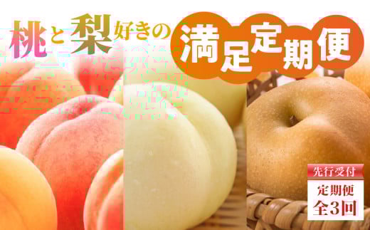 ≪先行受付≫【2026年度発送】 桃と梨好きの満足定期便【定期便全3回】