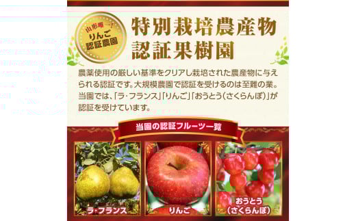 ≪先行受付≫特別栽培 大玉 ラフランス 約3kg 秀品4L〜3L 【2027年1月より順次発送予定】