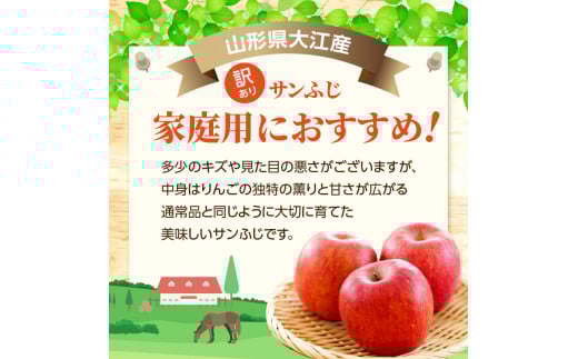 《先行受付》特別栽培 訳あり 家庭用サンふじ約10kg 【2027年1月〜発送予定】