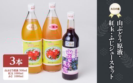 大江の恵　山ぶどう原液500ml紅玉・ふじ1Lジュースセット