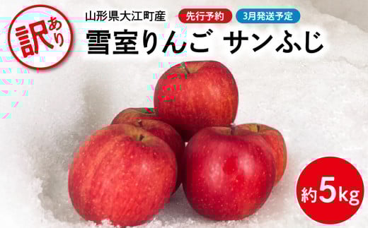《先行受付》【2027年3月発送予定】 訳あり 雪室りんごサンふじ 約5kg【大江町産・山形りんご・大地農産】