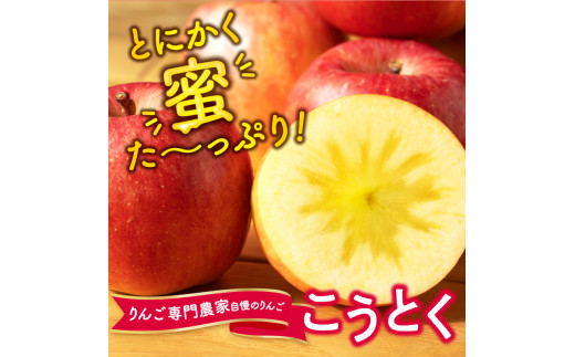  《先行受付》訳ありこうとくりんご約4.5kg 【2026年11月中旬頃～発送予定】【大江町産・山形りんご・大地農産・11月・12月】