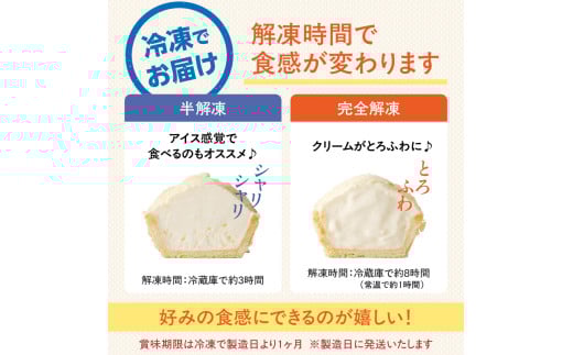 蝶谷の生パイ　10個セット