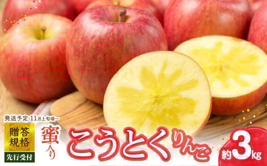 《先行受付》贈答規格 蜜入りこうとくりんご約3kg 特秀〜秀【2026年11月上旬〜発送予定】【大江町産・山形りんご・りんご専科 清野】