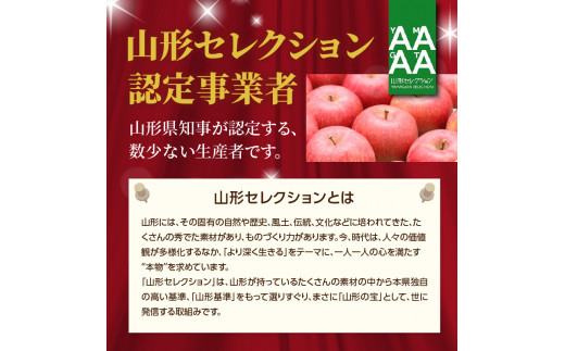 《先行受付》特別栽培 訳あり 家庭用サンふじ約10kg 【2027年1月〜発送予定】