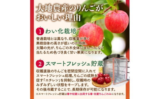 《先行受付》【2027年3月発送予定】 訳あり 雪室りんごサンふじ 約5kg【大江町産・山形りんご・大地農産】