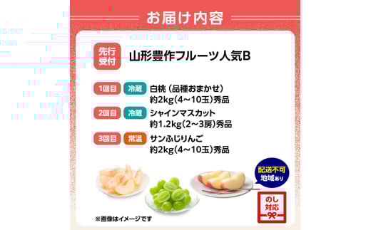 âªå
è¡åä»â« ã2026床幎çºéã山圢è±äœãã«ãŒã人æ°ïŒ¢ãå®æäŸ¿å
š3åã