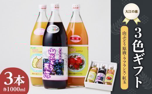 大江の恵 3色ギフト（山ブドウ原液、ラフランス、紅玉各1000ml）