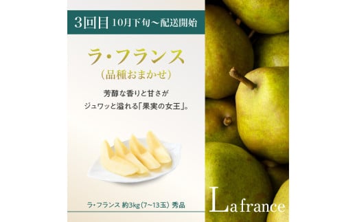 âªå
è¡åä»â« ã2026床幎çºéã山圢è±äœãã«ãŒã人æ°ïŒ¡ãå®æäŸ¿å
š3åã