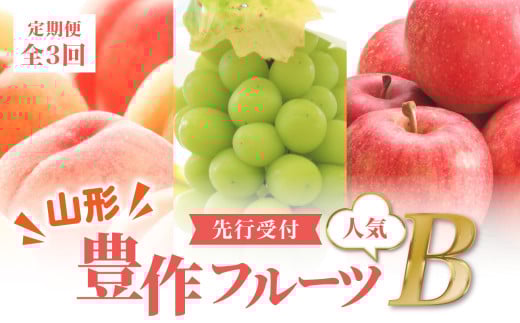 âªå
è¡åä»â« ã2026床幎çºéã山圢è±äœãã«ãŒã人æ°ïŒ¢ãå®æäŸ¿å
š3åã