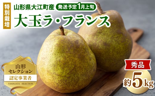 ≪先行受付≫ 特別栽培 大玉 ラフランス 約5kg 秀品4L〜3L 【2027年1月より順次発送予定】