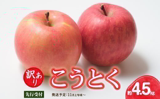 《先行受付》訳ありこうとく約4.5kg【2026年11月上旬〜発送予定】【大江町産・山形りんご・りんご専科 清野】