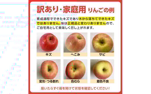 《先行受付》特別栽培 訳あり 家庭用サンふじ約10kg 【2027年1月〜発送予定】