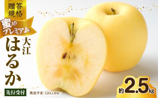 ãå
è¡åä»ãèŽçèŠæ Œ èå
¥ããã¬ãã¢ã 倧æ±ã¯ããçŽ2.5kg ç¹ç§ãç§ã2026幎12æäžæ¬ãçºéäºå®ãã倧æ±çºç£ã»å±±åœ¢ãããã»ãããå°ç§ æž
éã