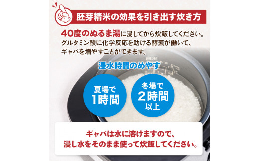 《2ヶ月定期便》山形県産 無洗米 令和7年産 はえぬき 胚芽精米 10kg(2kg×5袋)【山形県産 BG精米製法】