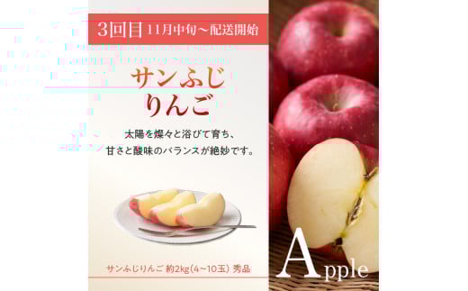 âªå
è¡åä»â« ã2026床幎çºéã山圢è±äœãã«ãŒã人æ°ïŒ¢ãå®æäŸ¿å
š3åã