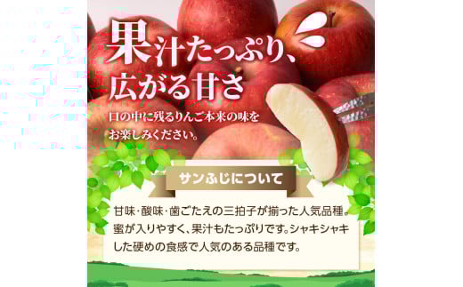 《先行受付》特別栽培 訳あり 家庭用サンふじ約10kg 【2027年1月〜発送予定】