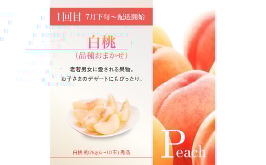 âªå
è¡åä»â« ã2026床幎çºéã山圢è±äœãã«ãŒã人æ°ïŒ¢ãå®æäŸ¿å
š3åã