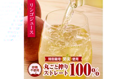 やまがた リンゴジュース1L×6本