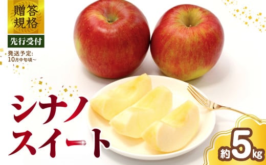 《先行受付》 贈答規格 シナノスイート約5kg（特秀〜秀14〜20玉）【2026年10月中旬〜発送予定】【大江町産・山形りんご・りんご専科 清野】