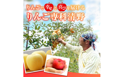 《先行受付》訳ありこうとく約4.5kg【2026年11月上旬〜発送予定】【大江町産・山形りんご・りんご専科 清野】