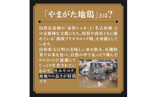 やまがた地鶏「モモ肉」 2袋