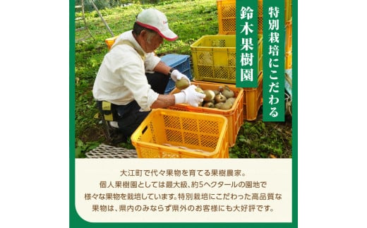 《先行受付》特別栽培 大玉 ラフランス 約5kg・秀品4L〜3L 【2026年11月上旬頃〜発送予定】