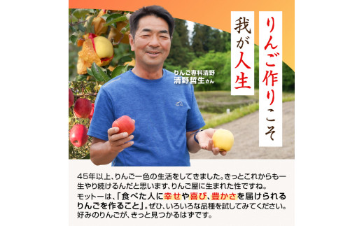 《先行受付》 贈答規格 シナノスイート約5kg（特秀〜秀14〜20玉）【2026年10月中旬〜発送予定】【大江町産・山形りんご・りんご専科 清野】