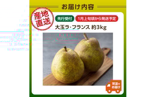 ≪先行受付≫特別栽培 大玉 ラフランス 約3kg 秀品4L〜3L 【2027年1月より順次発送予定】
