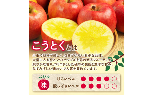  《先行受付》訳ありこうとくりんご約4.5kg 【2026年11月中旬頃～発送予定】【大江町産・山形りんご・大地農産・11月・12月】